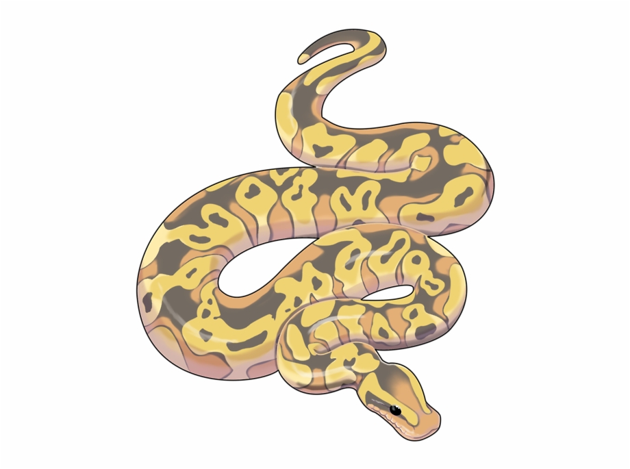 Python snake art.