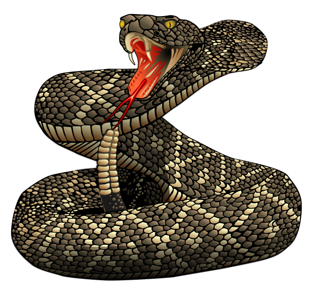 Free Rattlesnakes Cliparts, Download Free Clip Art, Free