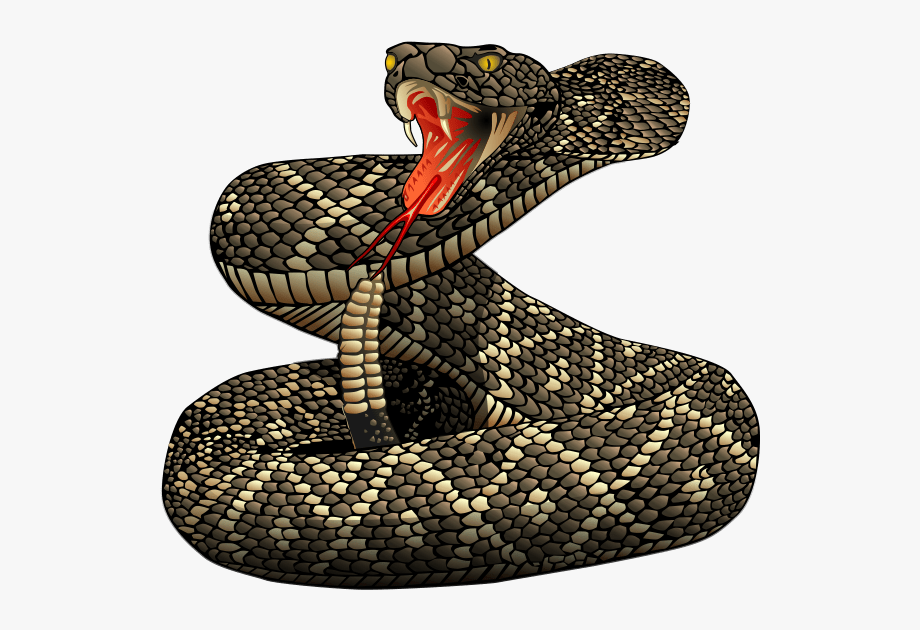 Realistic clipart snake.