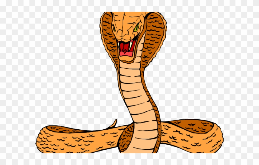 Realistic Snake Clip Art