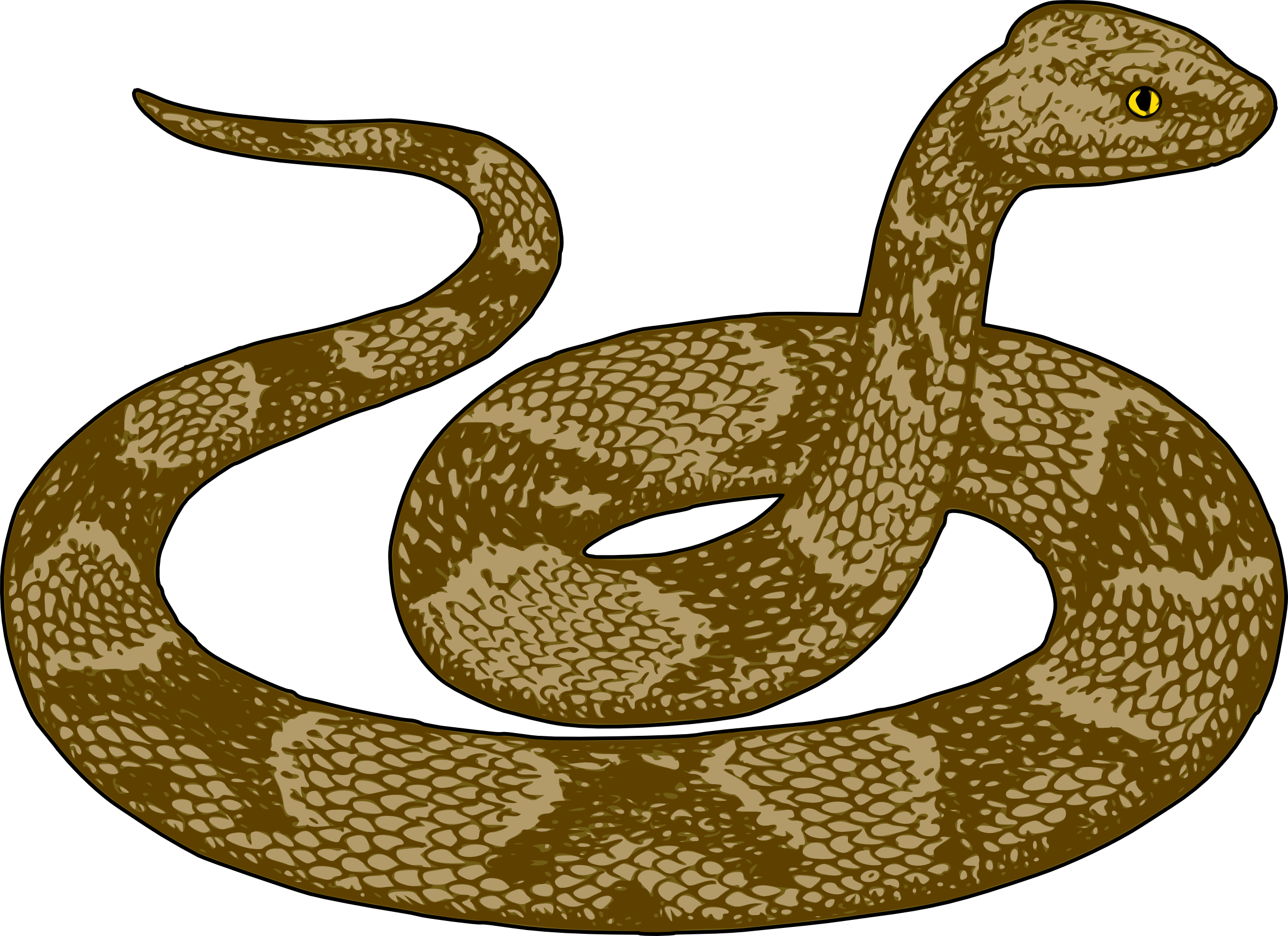 Free Realistic Snake Cliparts, Download Free Clip Art, Free