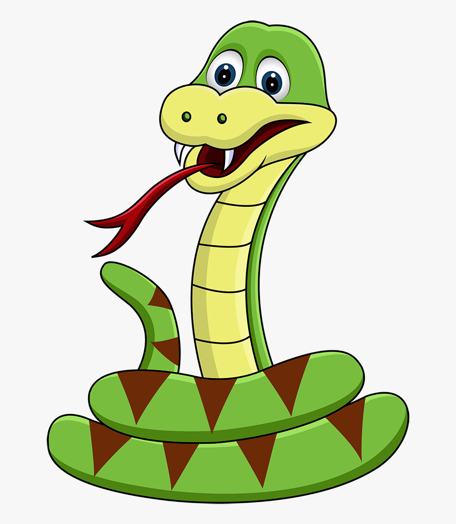 Snake clipart anaconda.