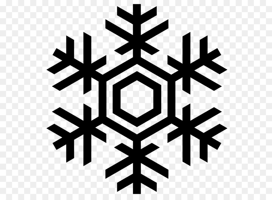 Snowflake euclidean vector.