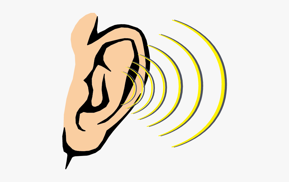 Hearing Sound Sense Human Body