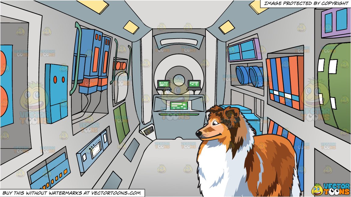 A Beautiful Collie and A Space Shuttle Command Room Background