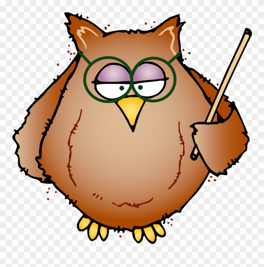 Owl writing clipart.