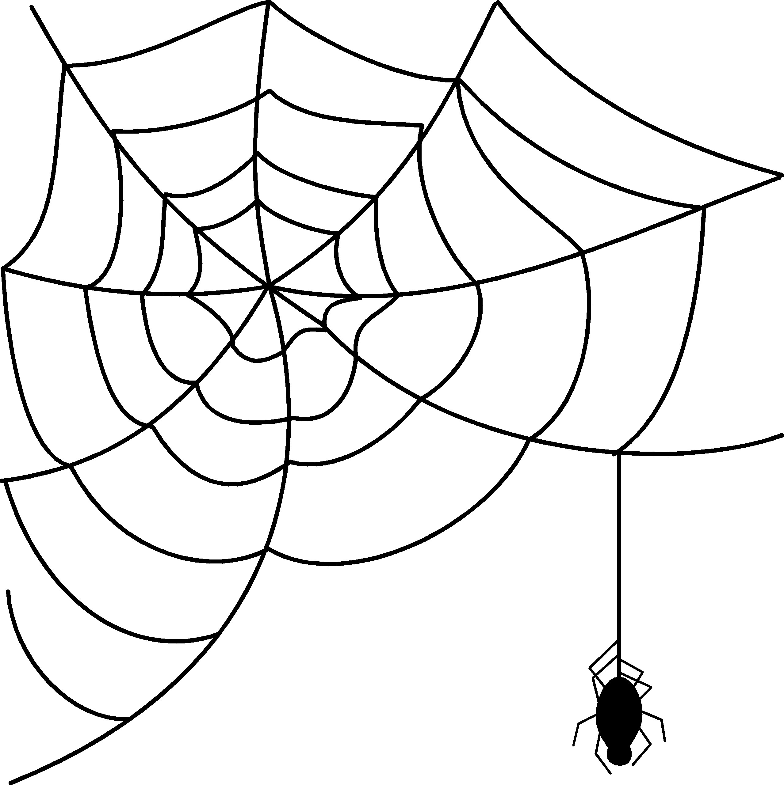 Free spider web.