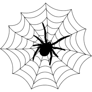 Cute spider web.