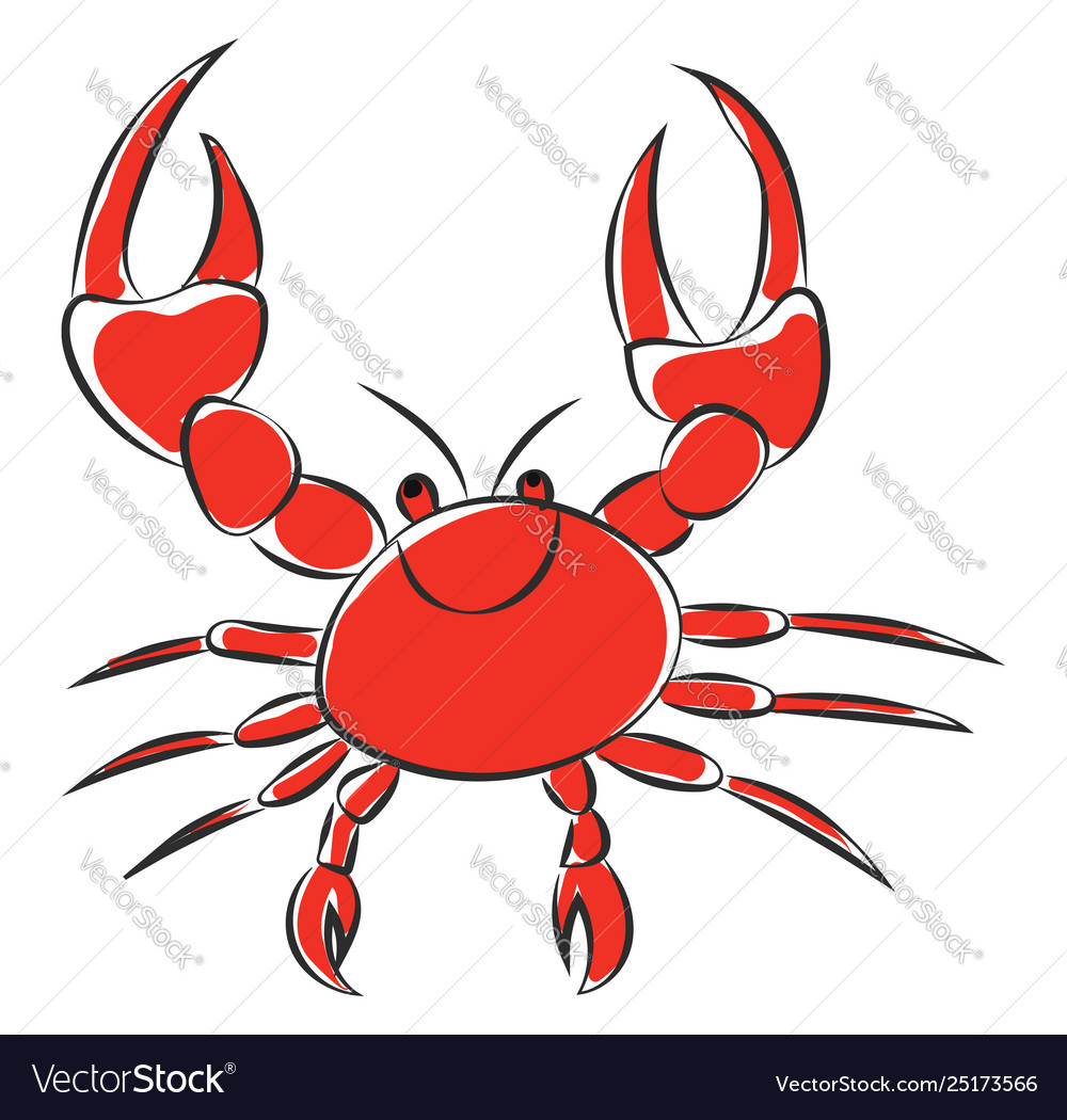 Portrait a red crab or color vector image