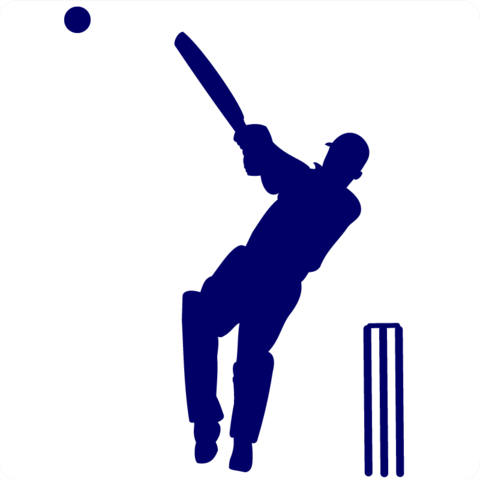 Image result for cricket clipart wis diglit malay rungta
