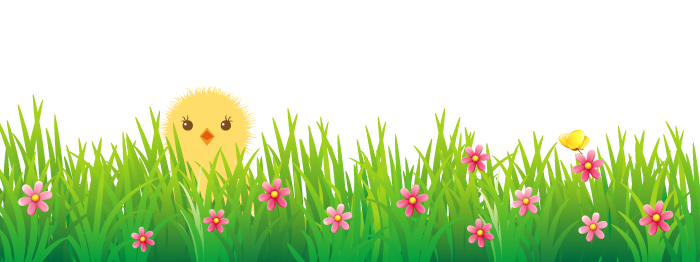 9 Spring Flowers Banner Graphic Images
