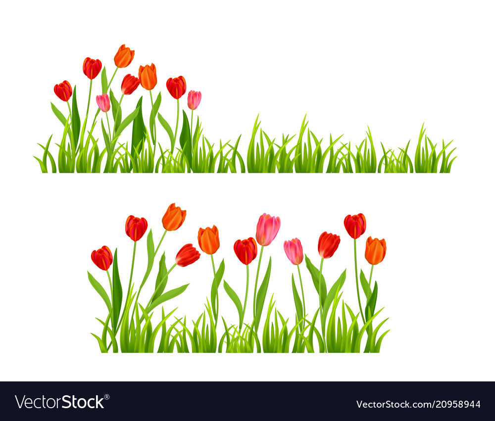 spring flowers clipart banner