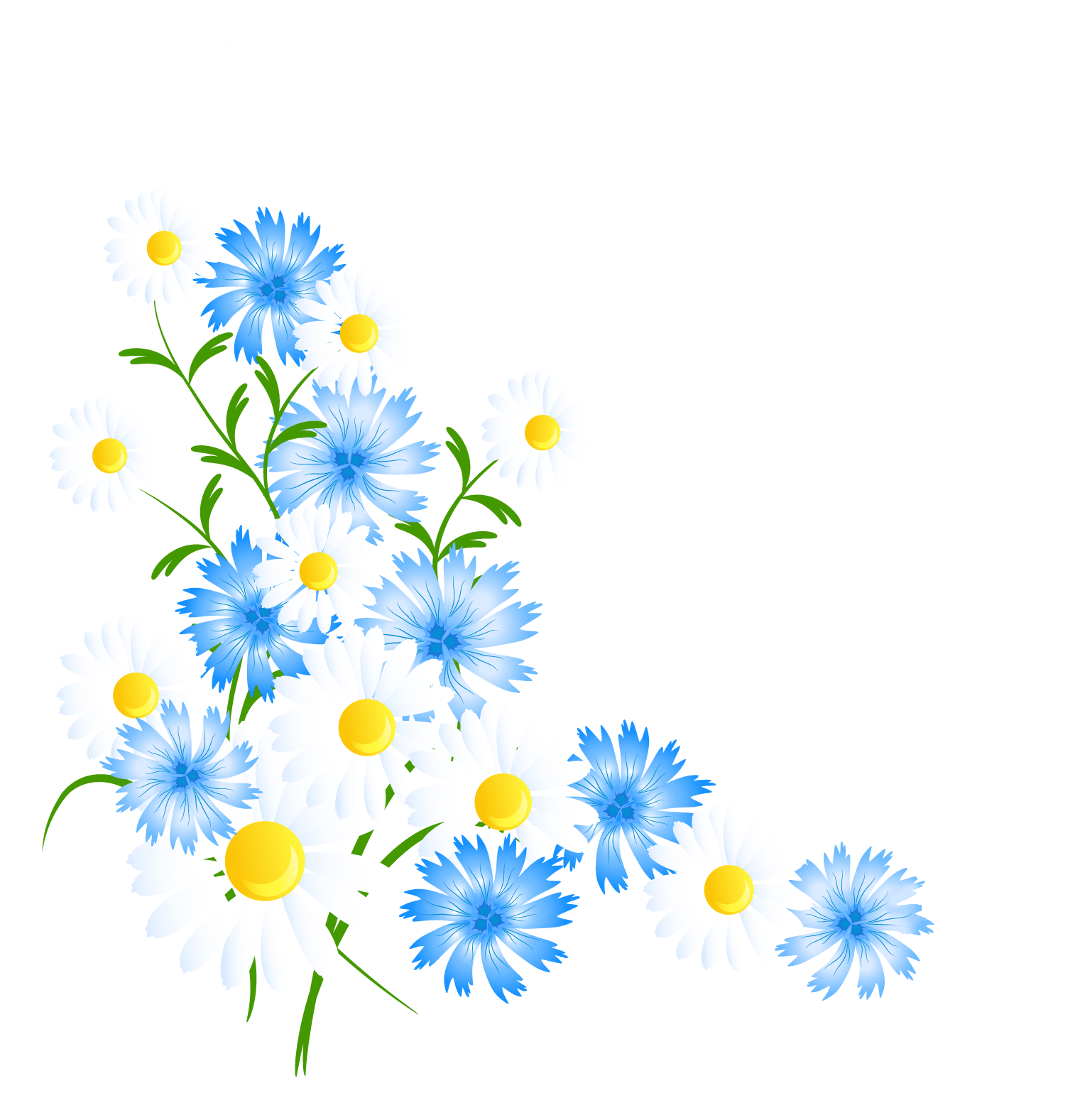 Blue spring flowers.