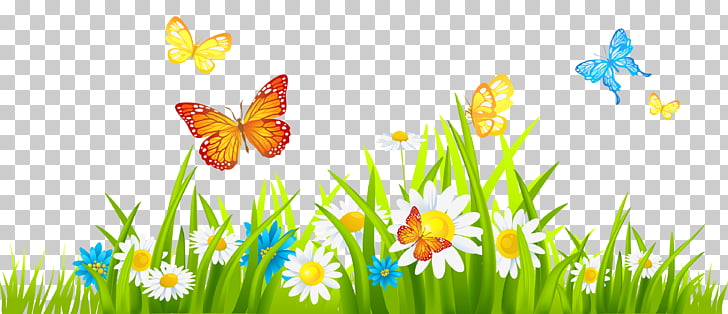 Flower Free content Spring , Flower Garden s, butterflies on