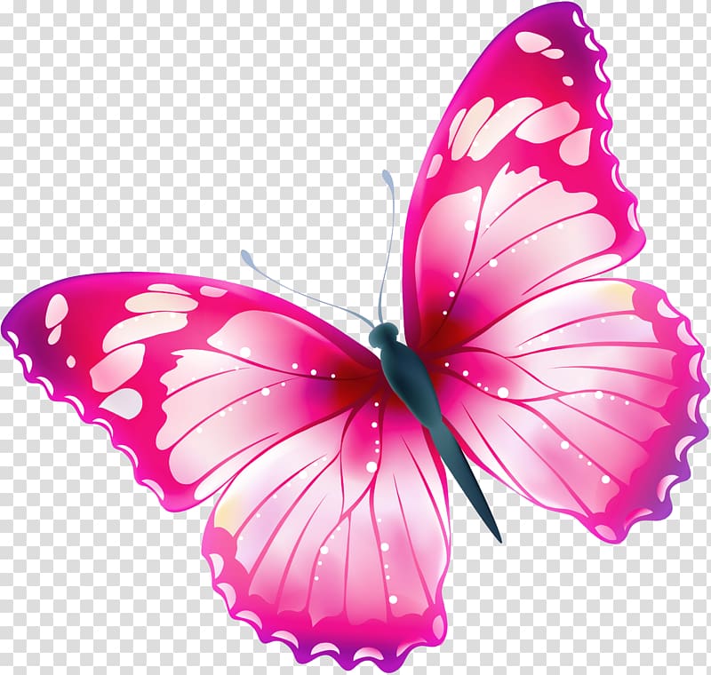 spring flowers clipart butterfly