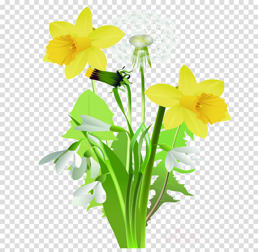 Floral Spring Flowers clipart