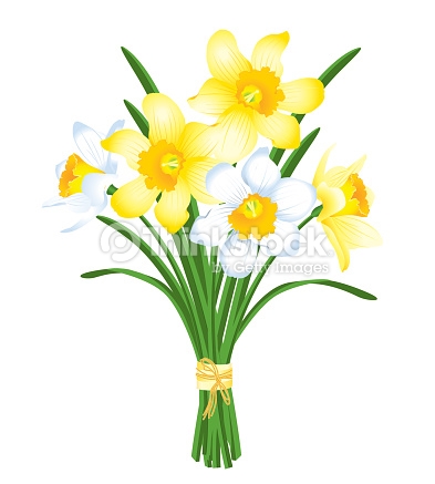 Spring clip art daffodil