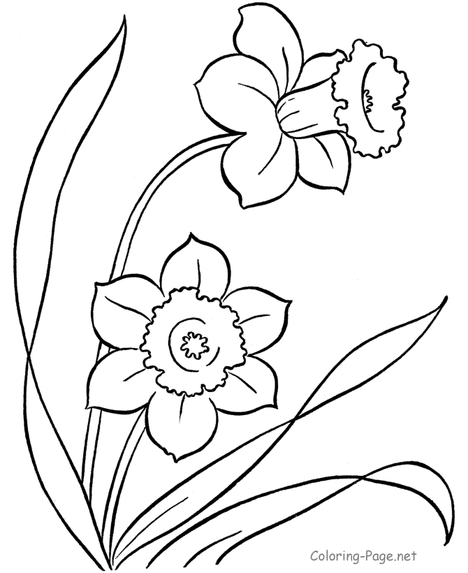 Free Drawing Of Spring Flowers, Download Free Clip Art, Free