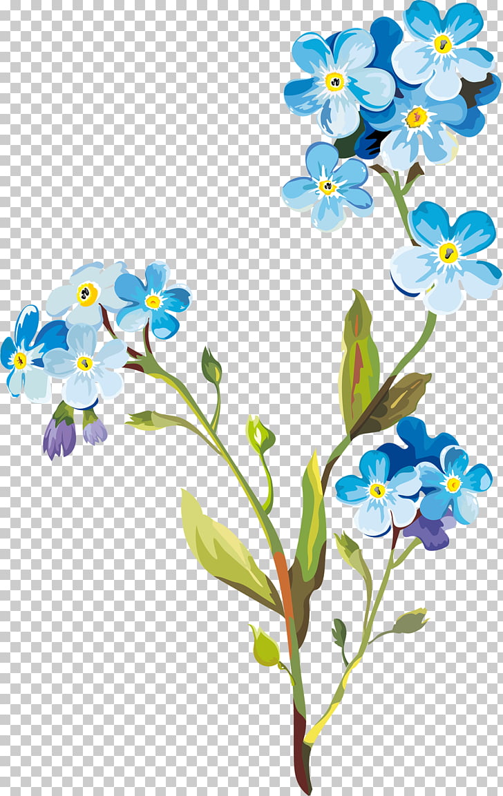 Flower Drawing , spring flowers PNG clipart