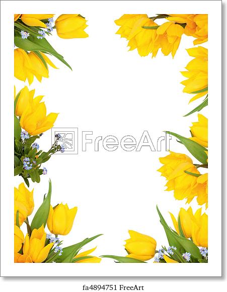 Free art print of Spring Flower Frame