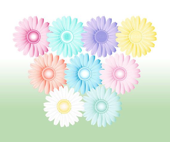 Digital flower clipart Gerbera Daisy Pastel Flowers by