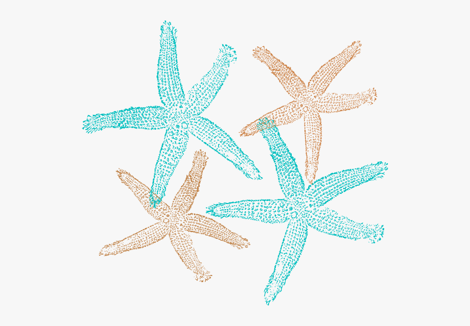Starfish prints svg.