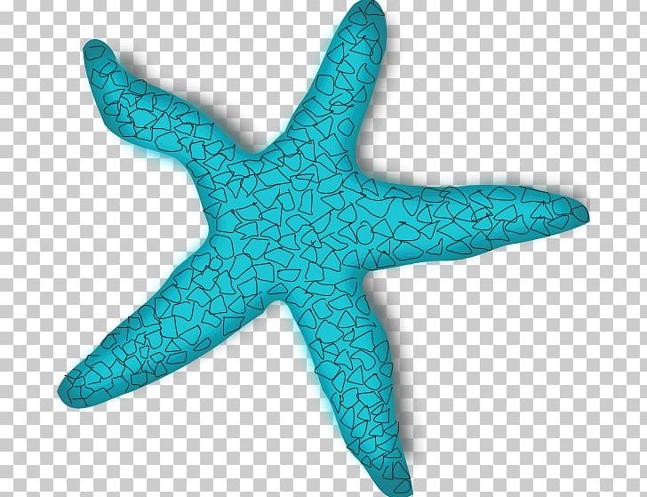 Starfish png clipart.