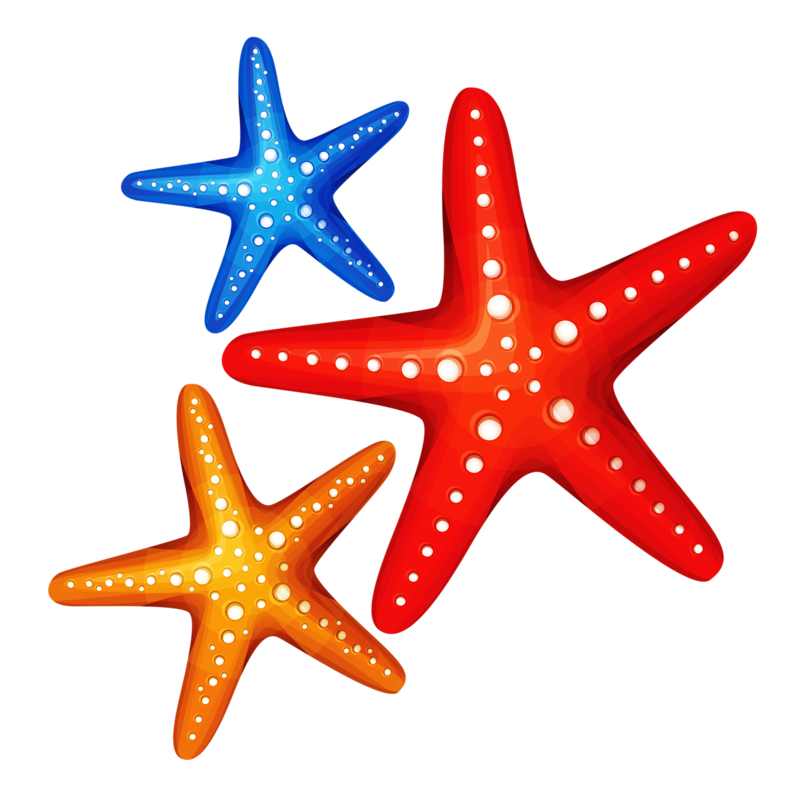Starfish Clip art