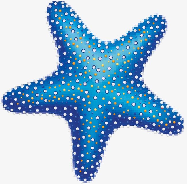 Download Free png starfish