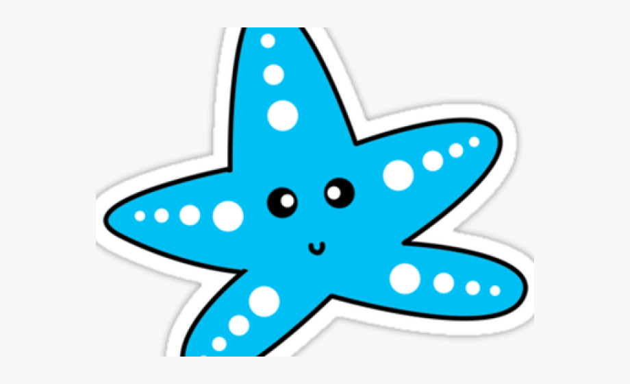Blue starfish clip.