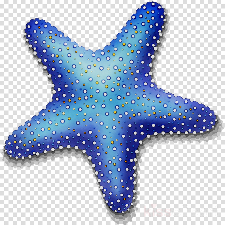 Blue star clipart.