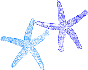 Free blue starfish.
