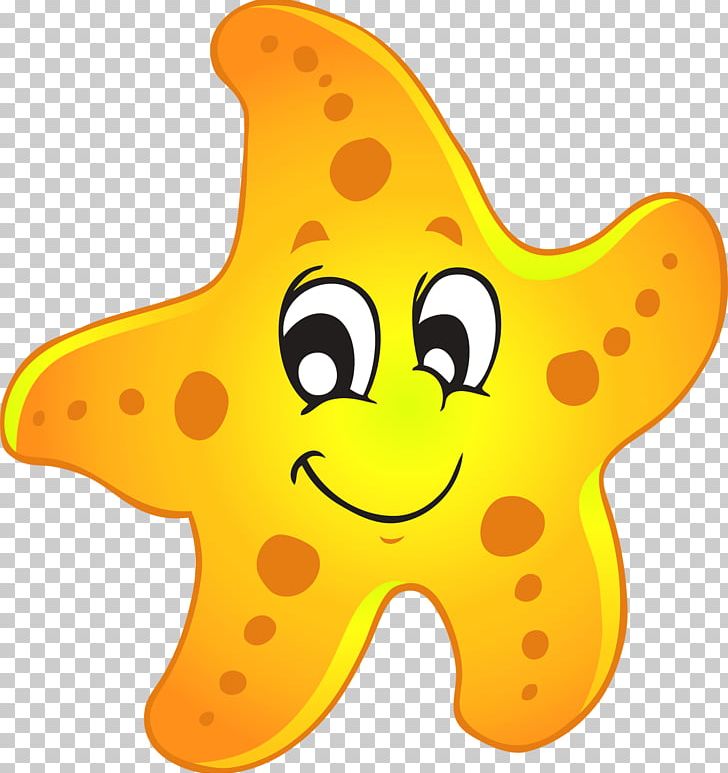 Starfish png clipart.