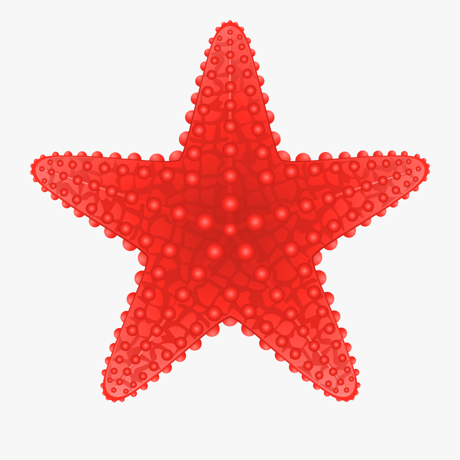 Seashell Clipart Starfishclip