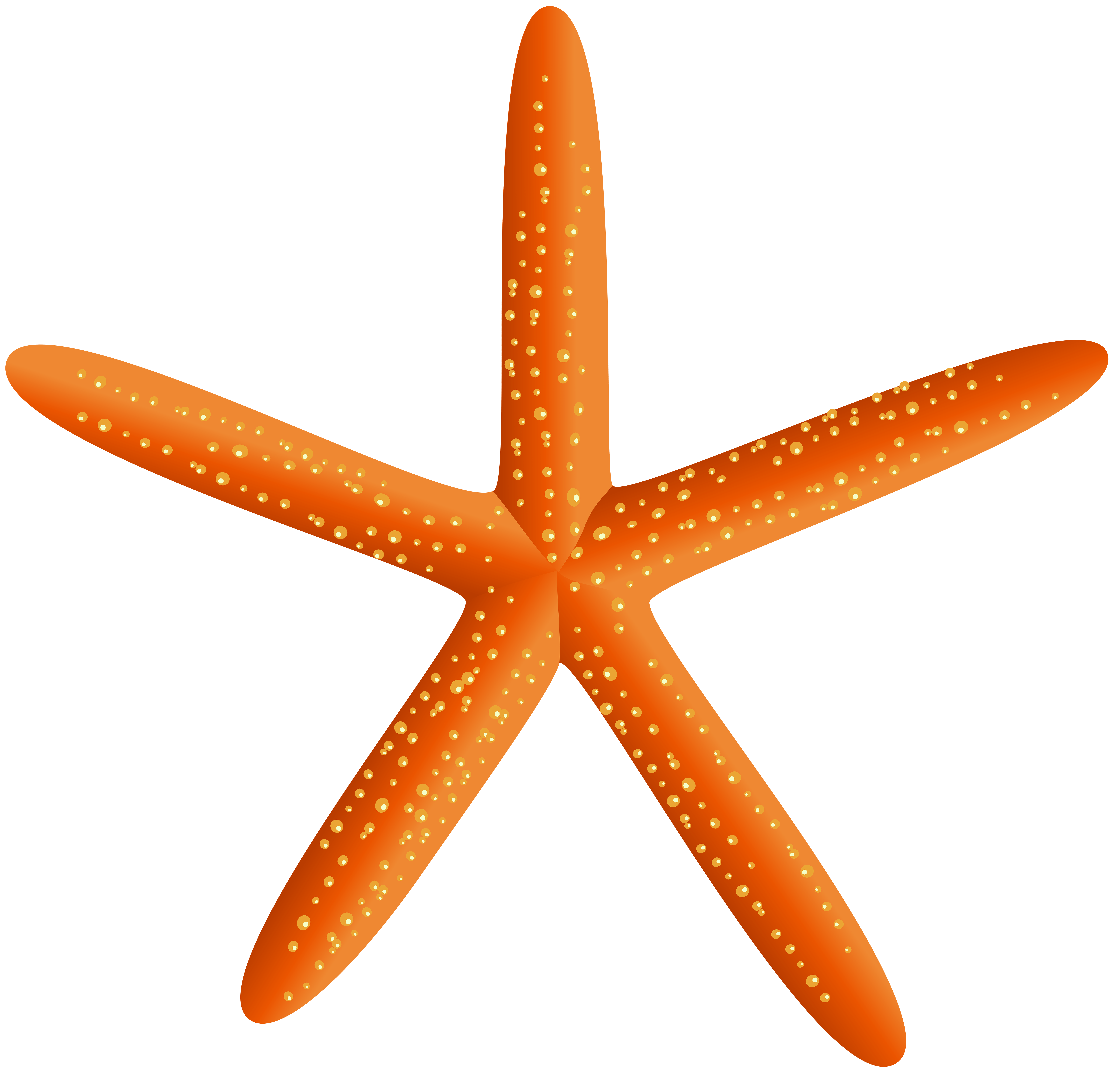Starfish transparent free.