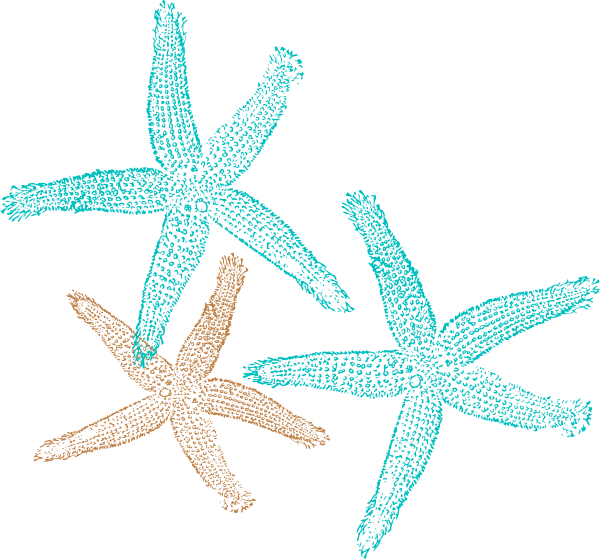 Starfish clip art coral color