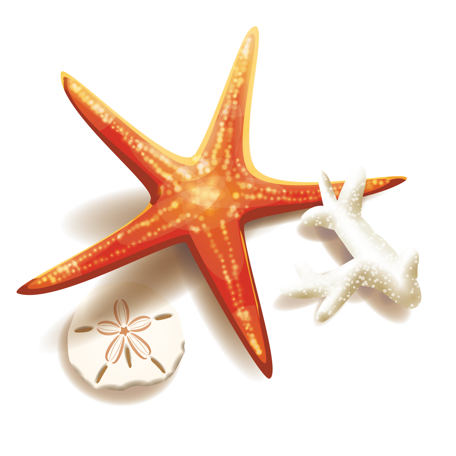 Download And Coral Starfish Illustration Stock Free Clipart