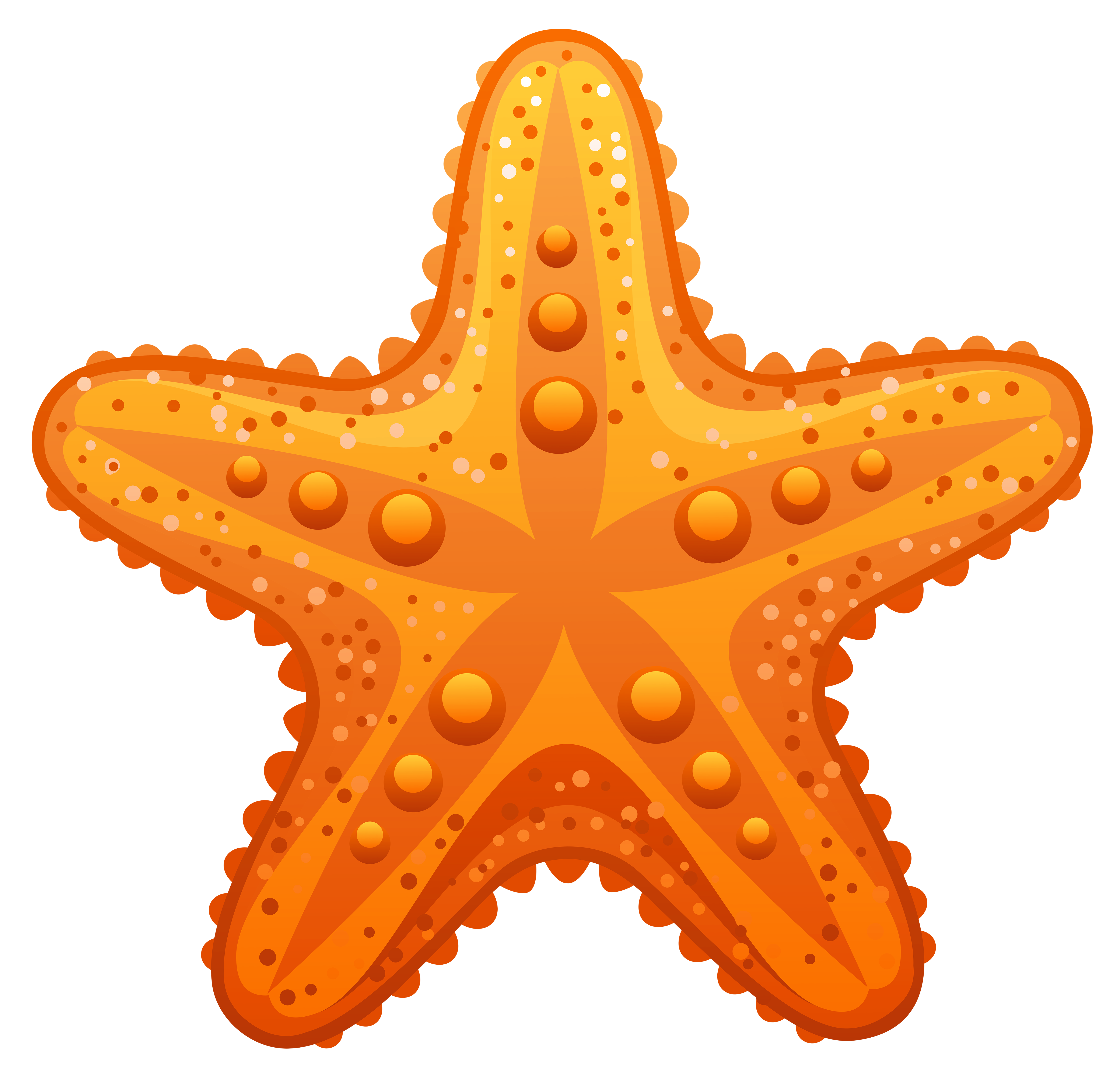 48 starfish clipart.