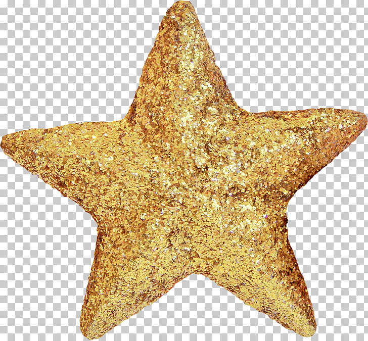 Star Christmas ornament Raster graphics , starfish PNG