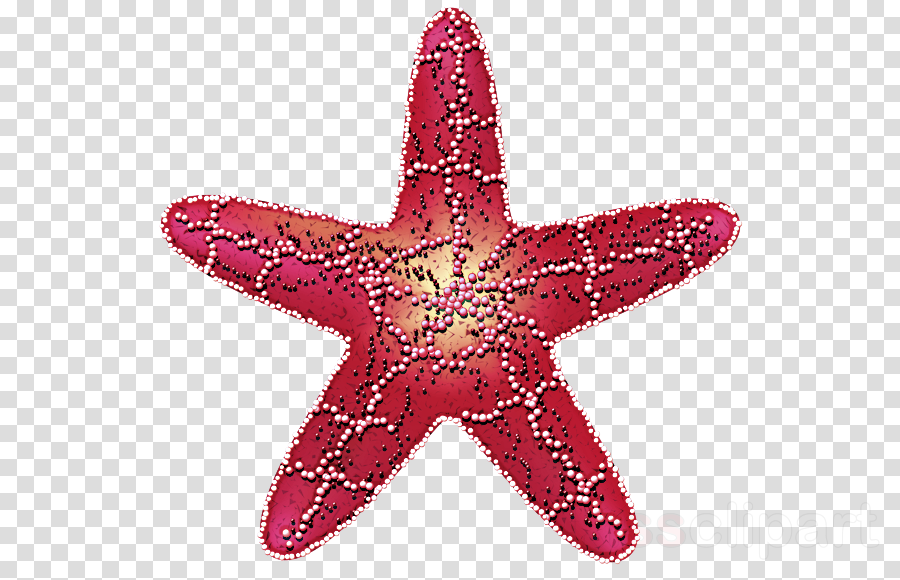 Starfish pink magenta marine invertebrates glitter clipart