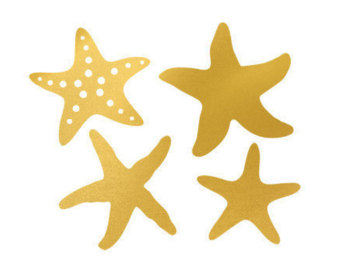 Starfish star fish.