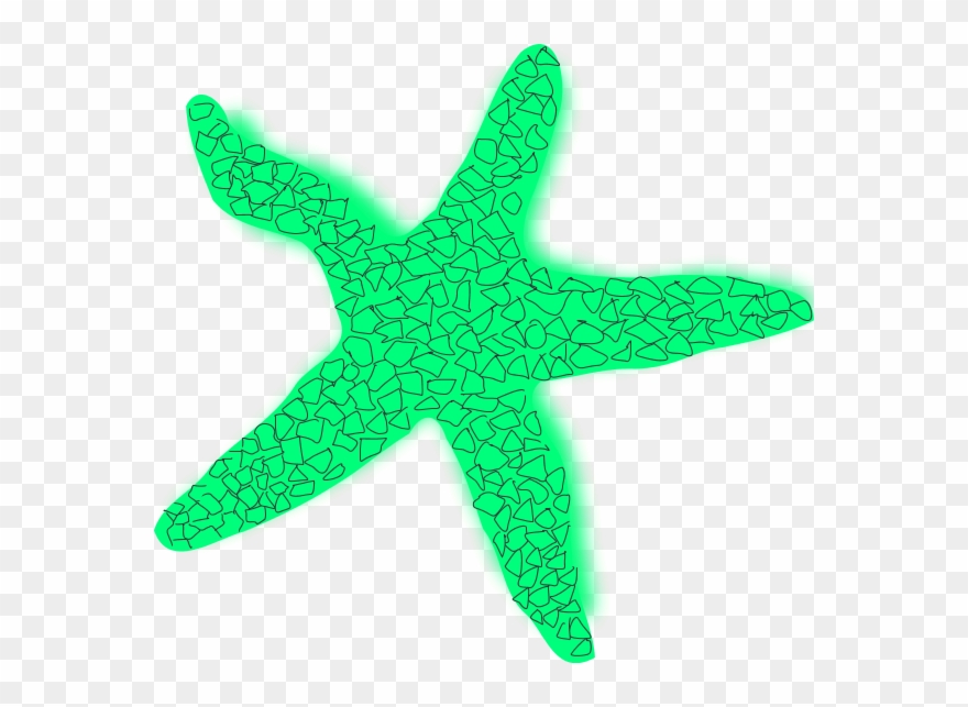 Starfish clipart star.