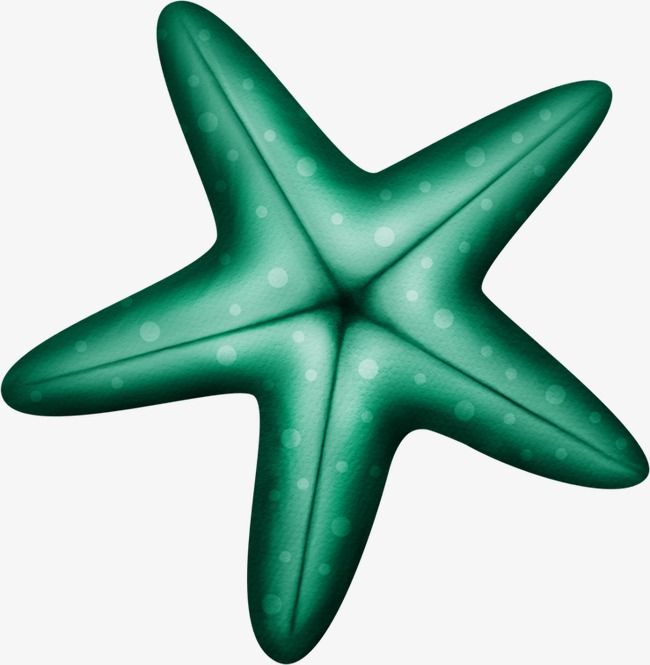starfish clipart green