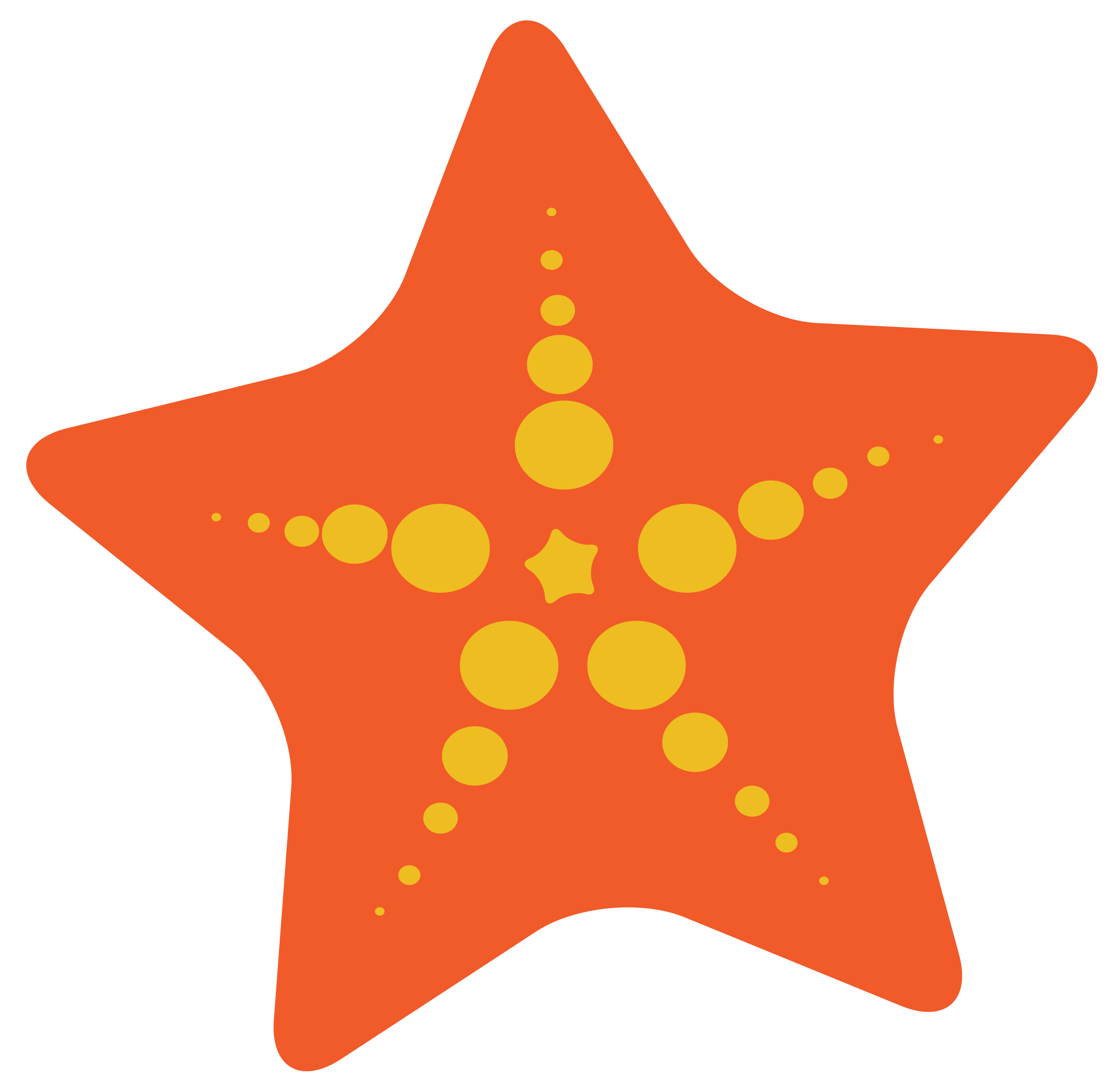 starfish clipart kawaii