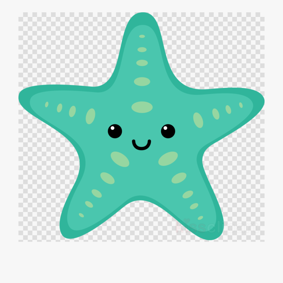 Starfish Ocean