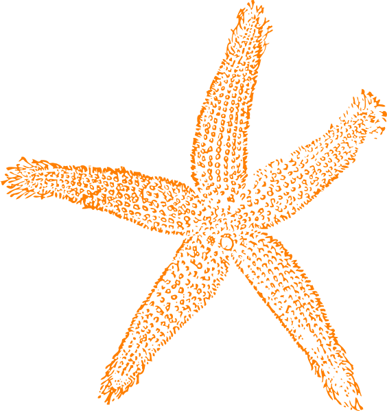 starfish clipart orange