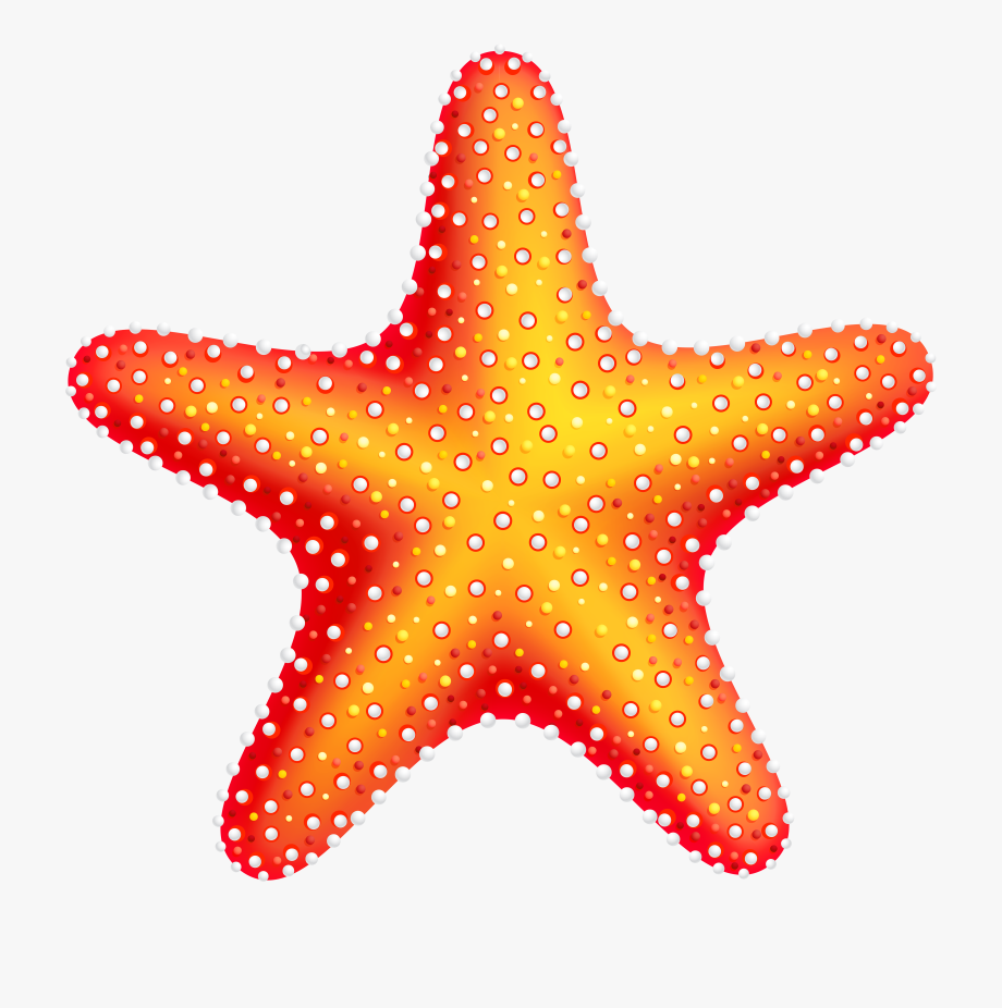 Star Fish Clipart