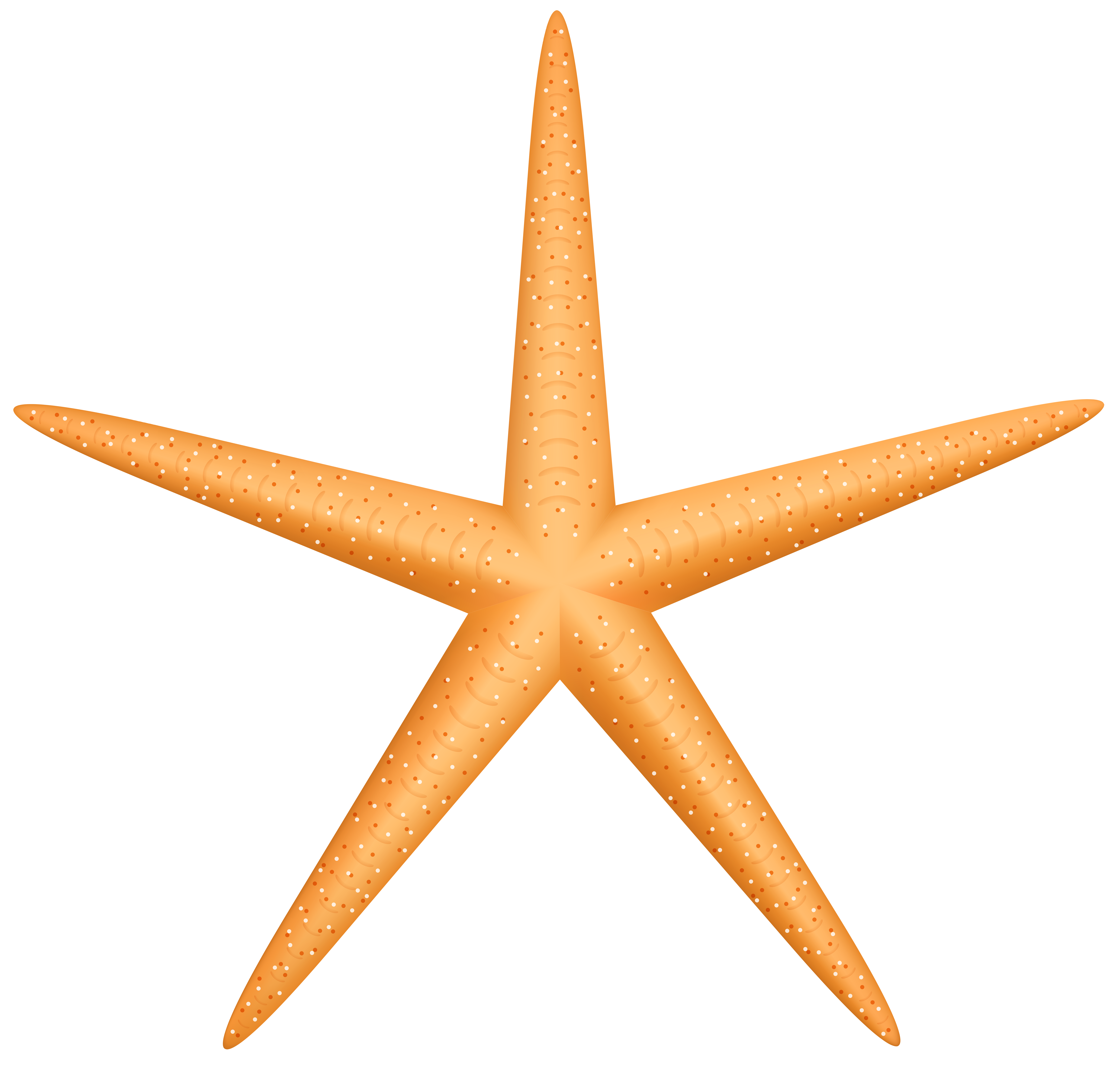 Yellow Starfish PNG Clip Art