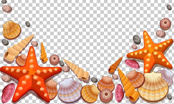 Seashell PNG, Clipart, Animals, Beautiful Starfish, Cartoon