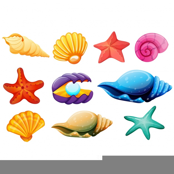 Starfish And Seashell Clipart